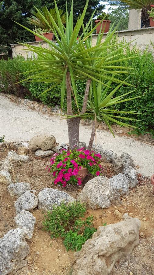 Casa Vacanze Villa Tropia Camastra المظهر الخارجي الصورة